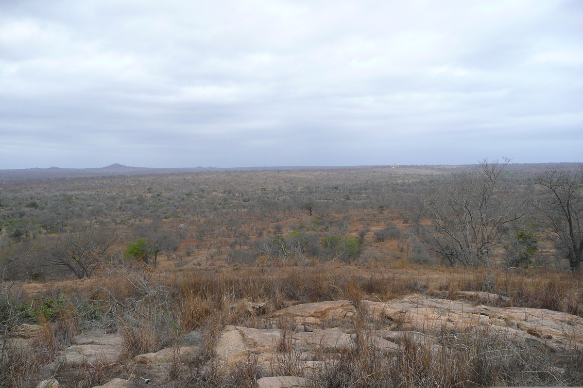 Picture South Africa Kruger National Park 2008-09 178 - City View Kruger National Park