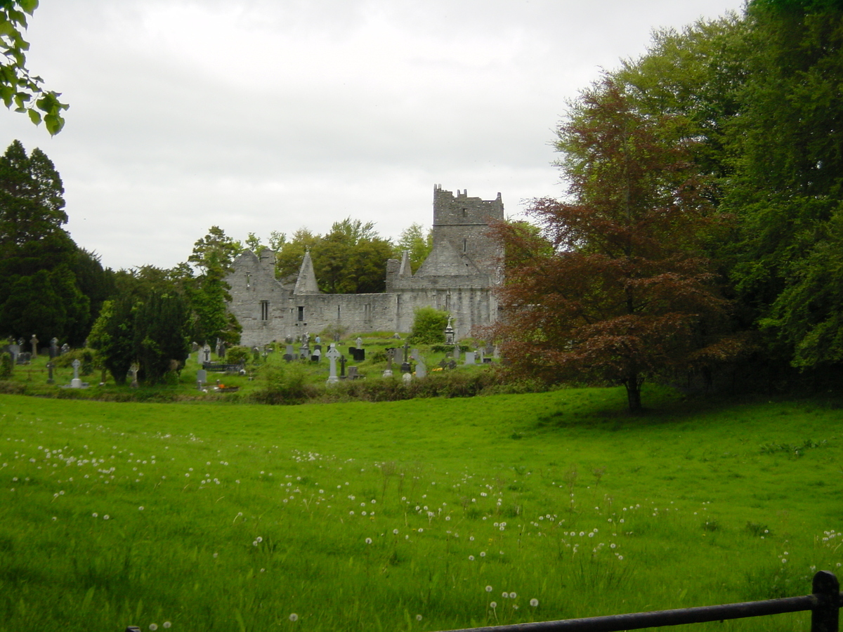 Picture Ireland Kerry Killarney National Park Muckross House 2004-05 22 - Walking Street Muckross House