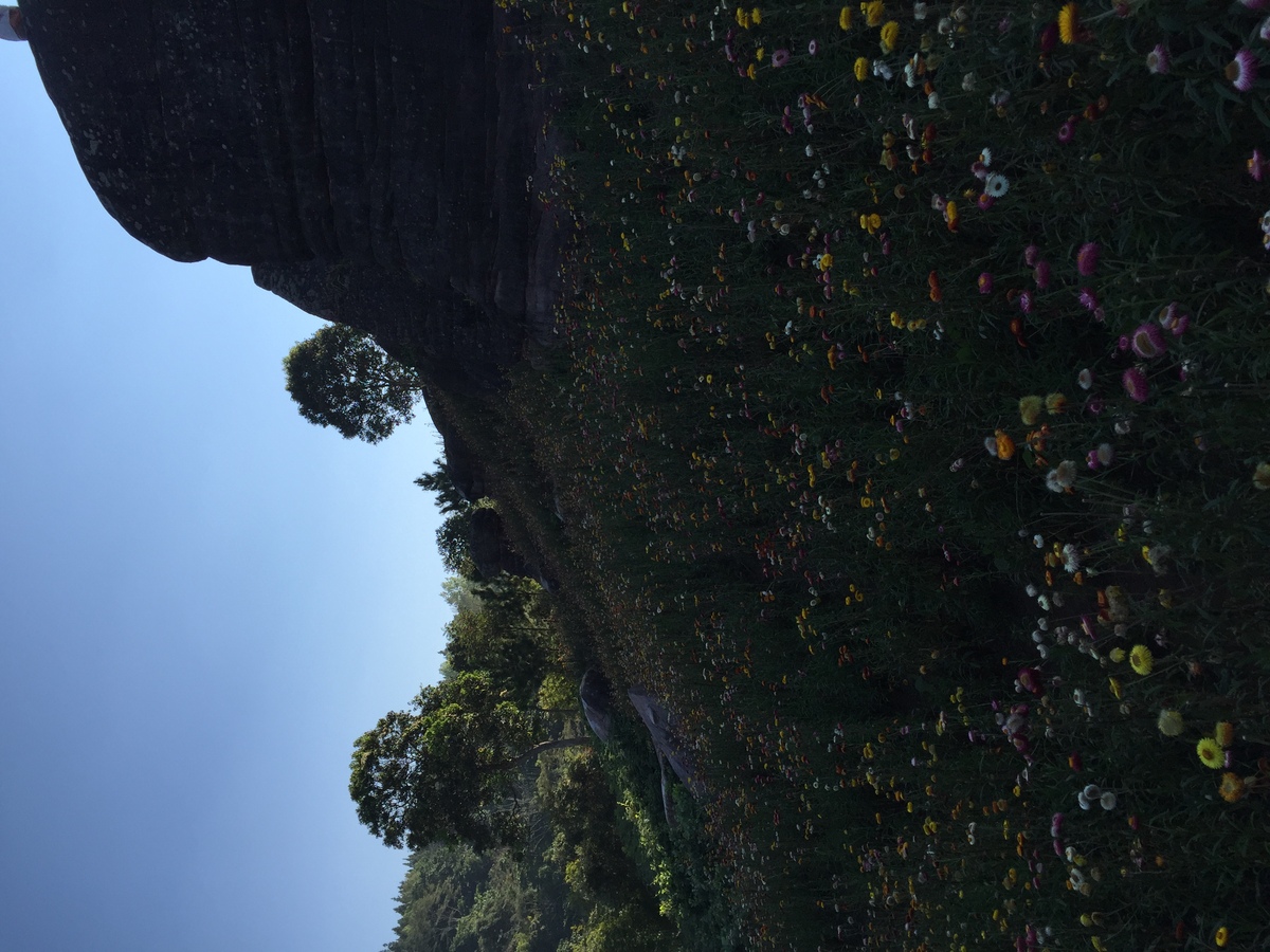 Picture Thailand Phu Hin Rong Kla National Park 2014-12 362 - Night Phu Hin Rong Kla National Park