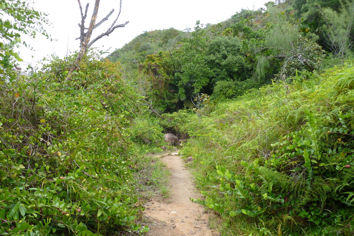 Picture Seychelles Anse Lazio 2011-10 110 - Lakes Anse Lazio