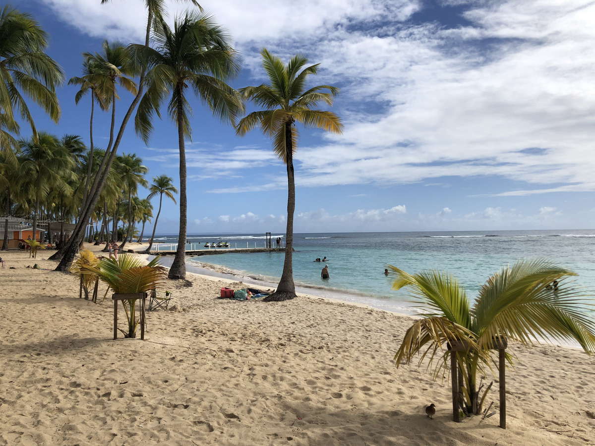 Picture Guadeloupe La Caravelle Beach 2021-02 52 - Lands La Caravelle Beach