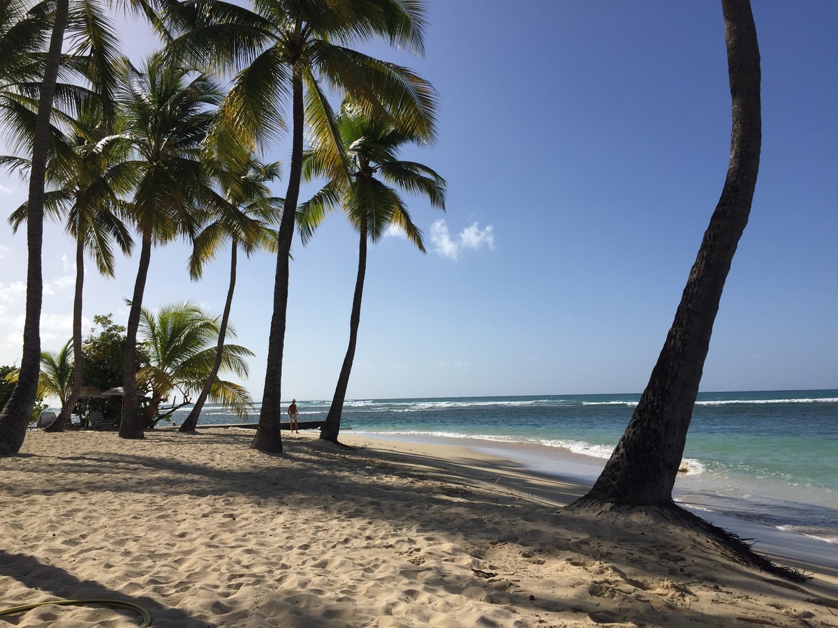 Picture Guadeloupe La Caravelle Beach 2021-02 89 - Street La Caravelle Beach