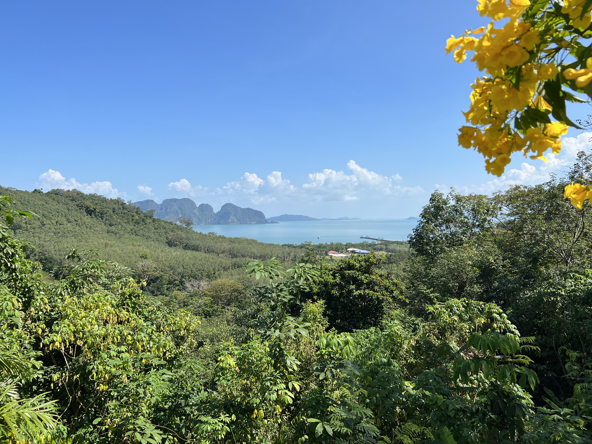 Picture Thailand Phang Nga Bay 2021-12 117 - Resorts Phang Nga Bay