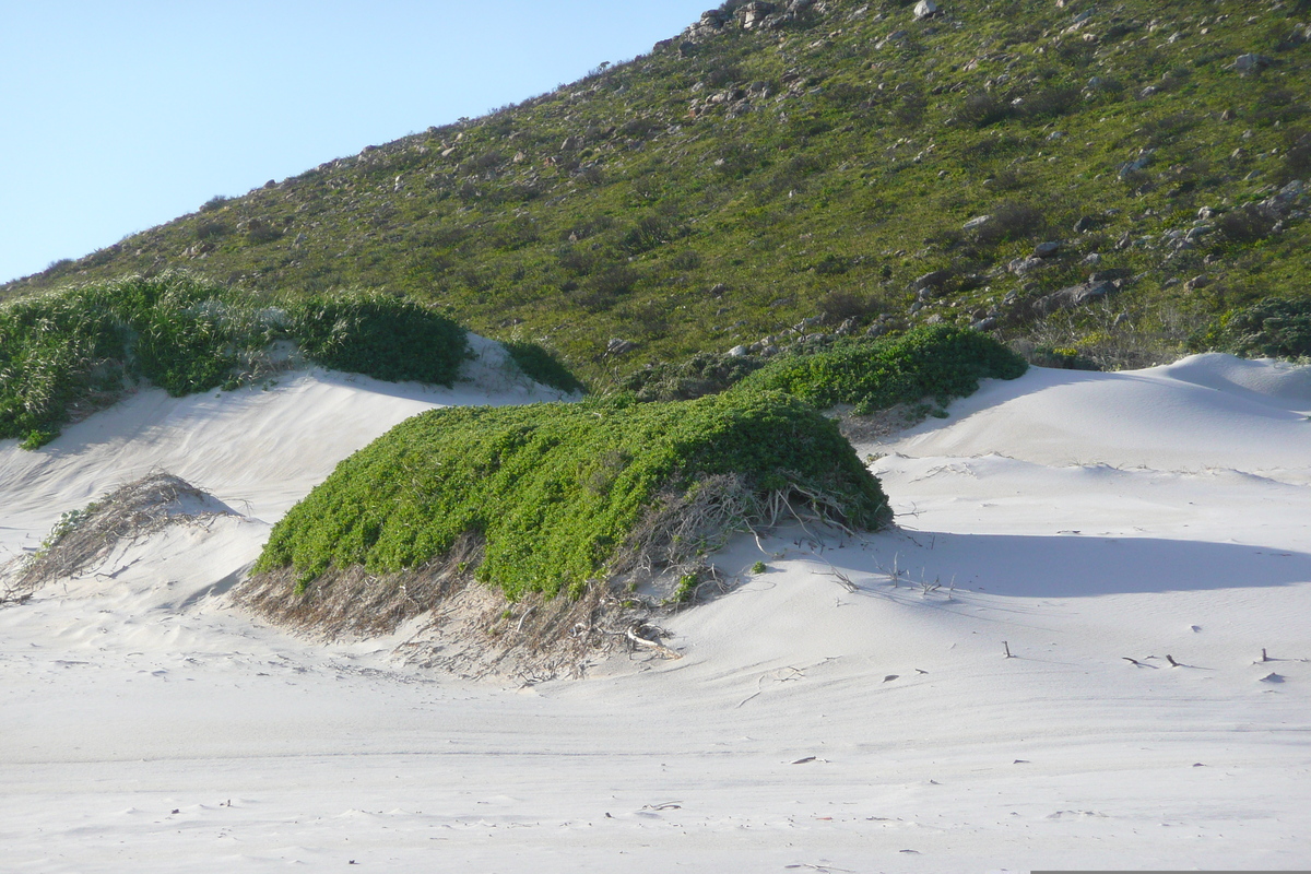 Picture South Africa Cape of Good Hope 2008-09 5 - Transport Cape of Good Hope