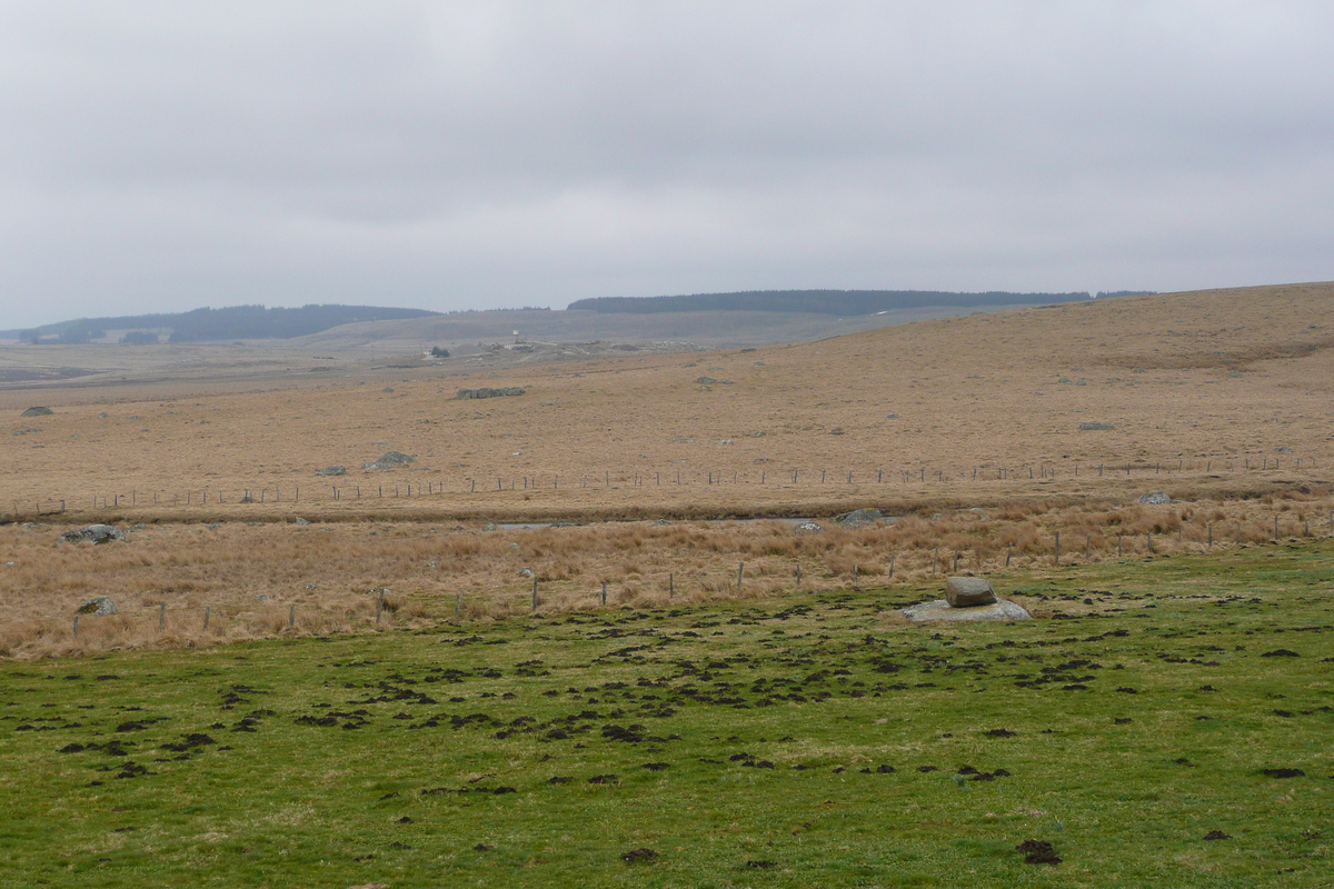 Picture France L'Aubrac 2008-04 77 - Winter L'Aubrac