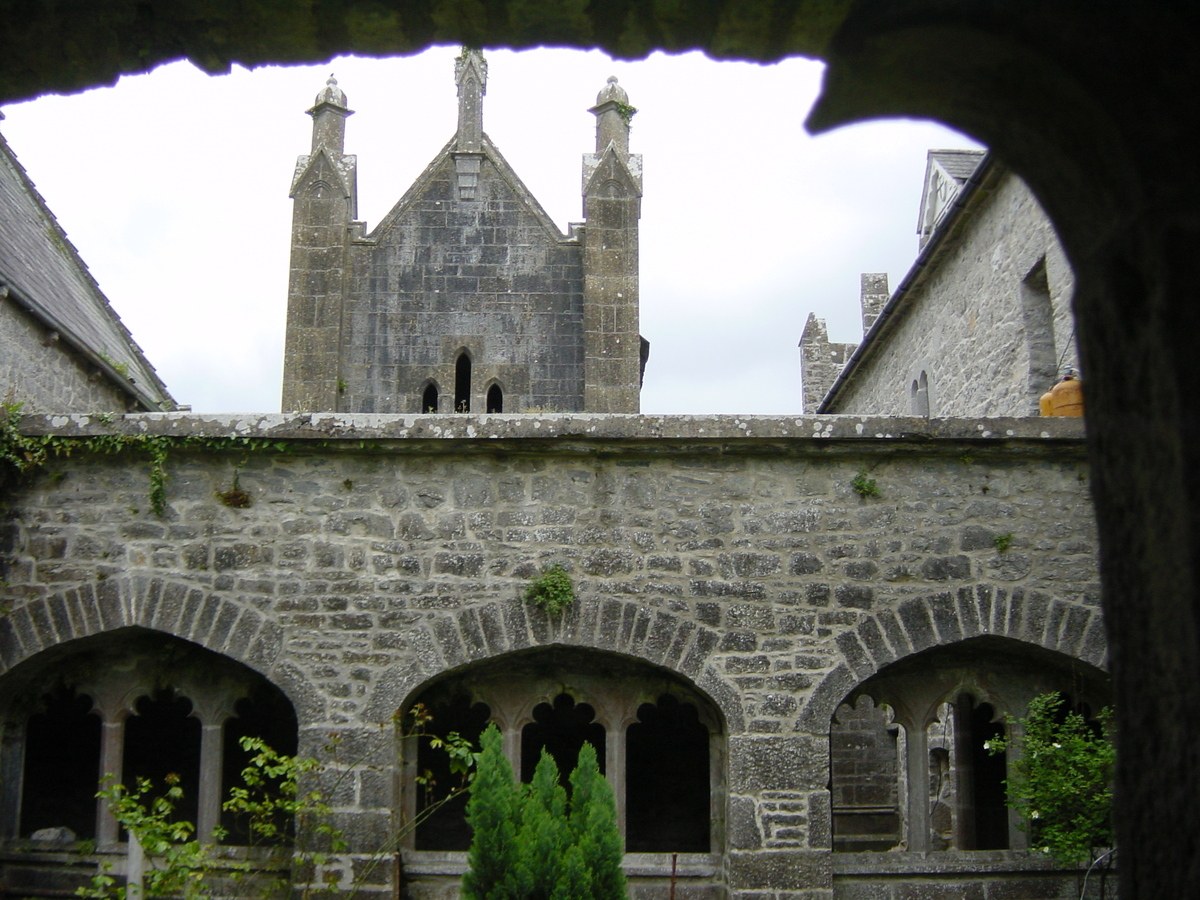 Picture Ireland Limerick County Adare 2004-05 15 - Night Adare