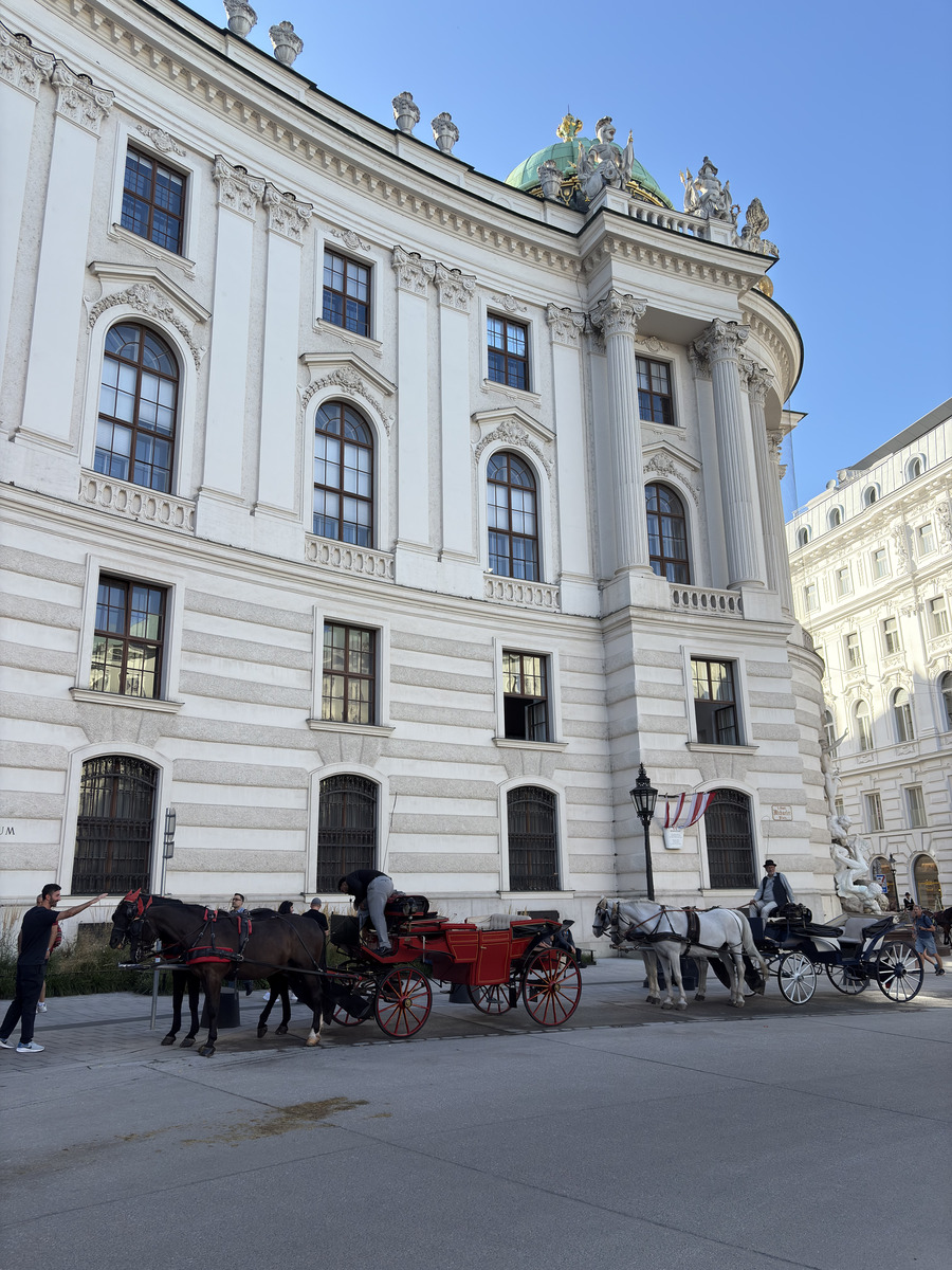 Picture Austria Vienna 2025-09 41 - Rental Vienna