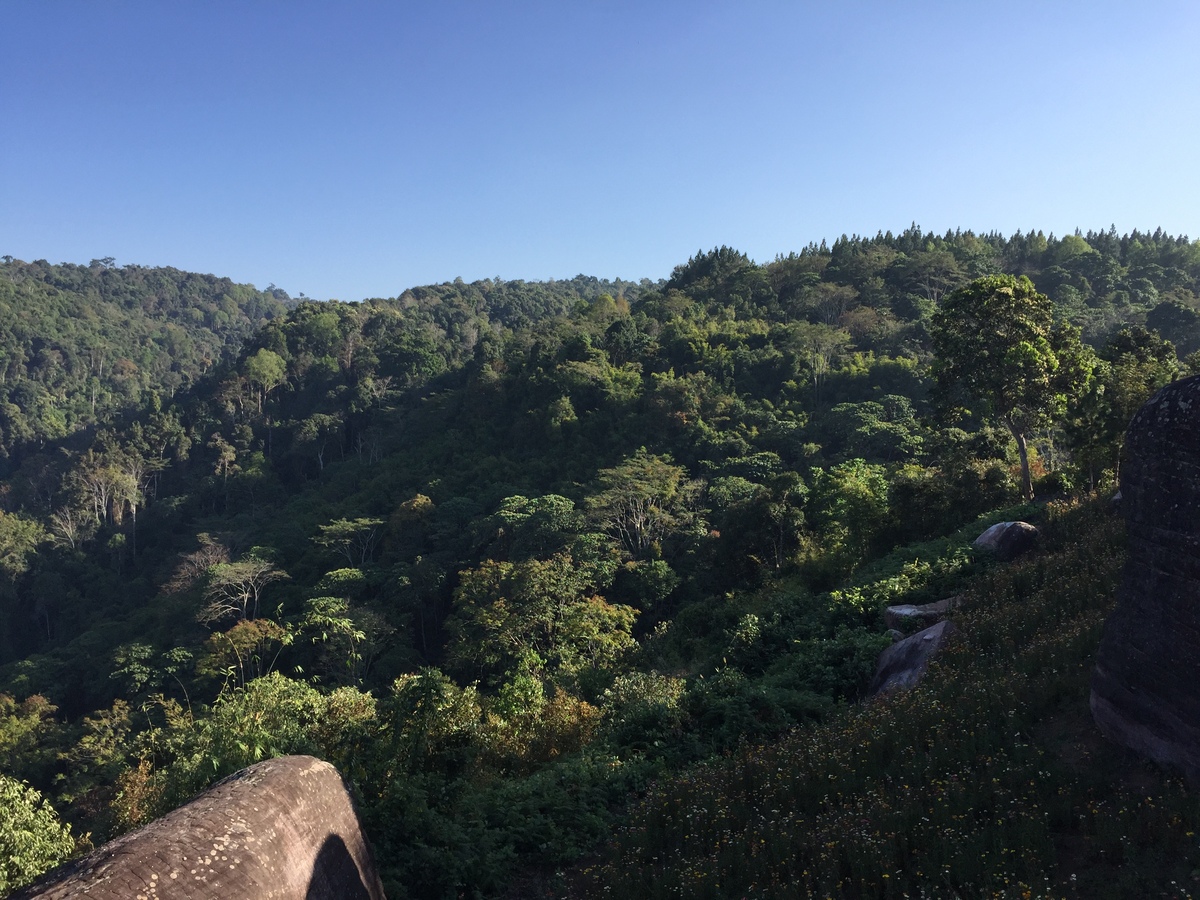 Picture Thailand Phu Hin Rong Kla National Park 2014-12 21 - Winter Phu Hin Rong Kla National Park