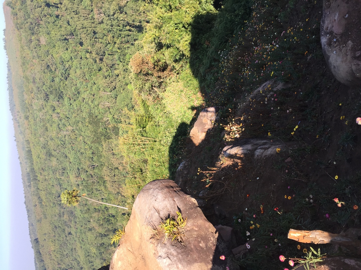 Picture Thailand Phu Hin Rong Kla National Park 2014-12 35 - Waterfall Phu Hin Rong Kla National Park