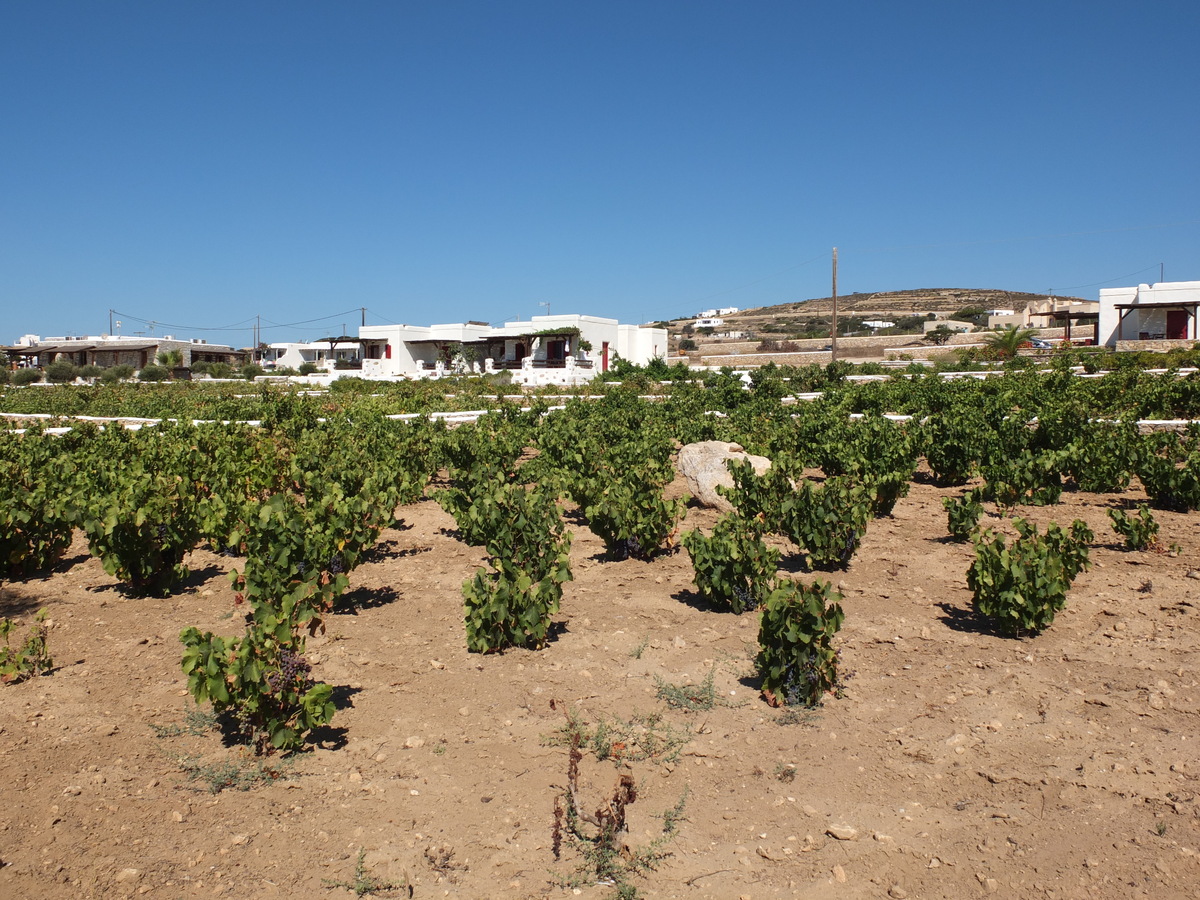 Picture Greece Koufonissia 2014-07 29 - Rooms Koufonissia