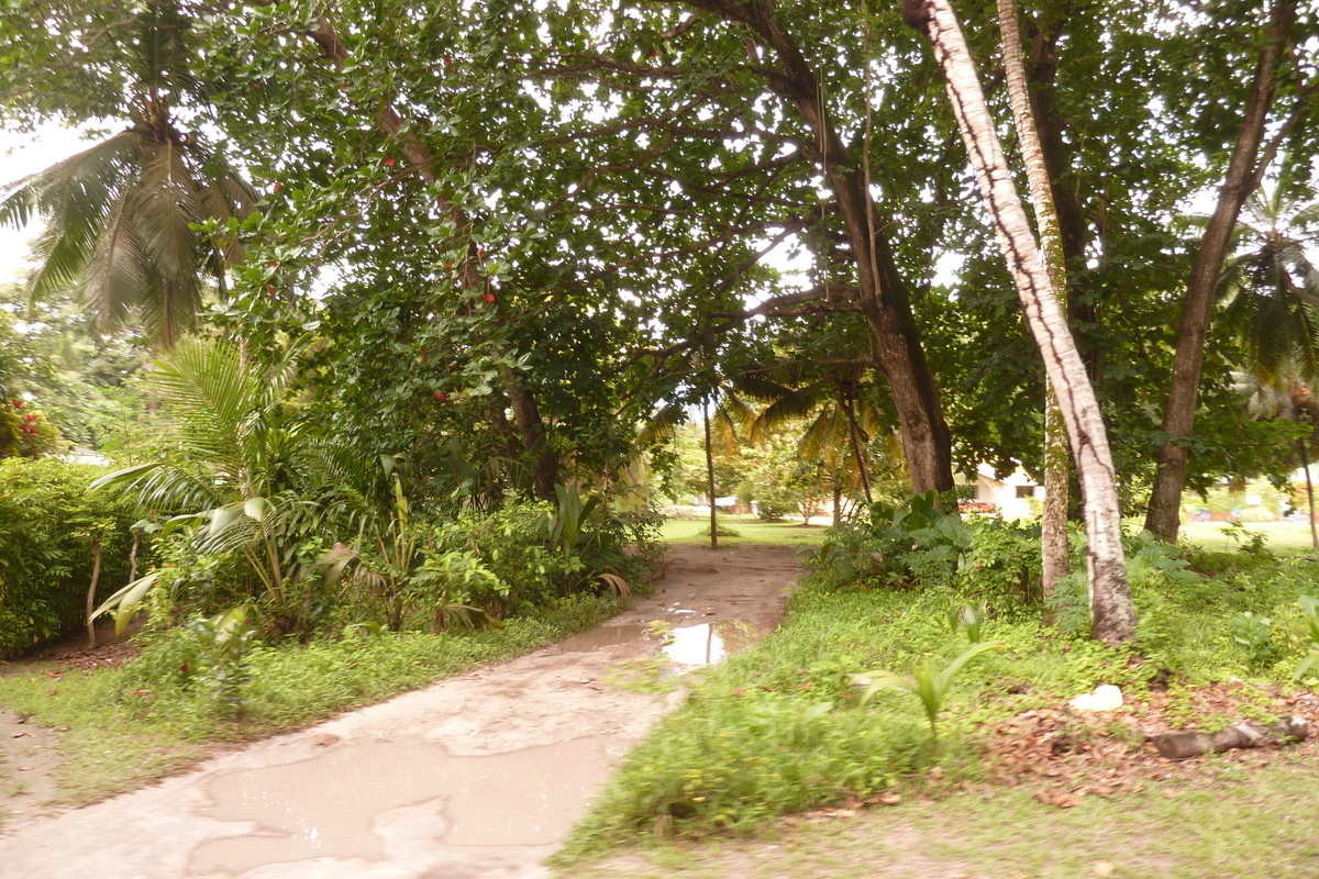 Picture Seychelles La Digue 2011-10 208 - To see La Digue