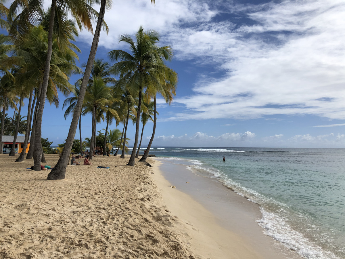 Picture Guadeloupe La Caravelle Beach 2021-02 63 - Waterfall La Caravelle Beach