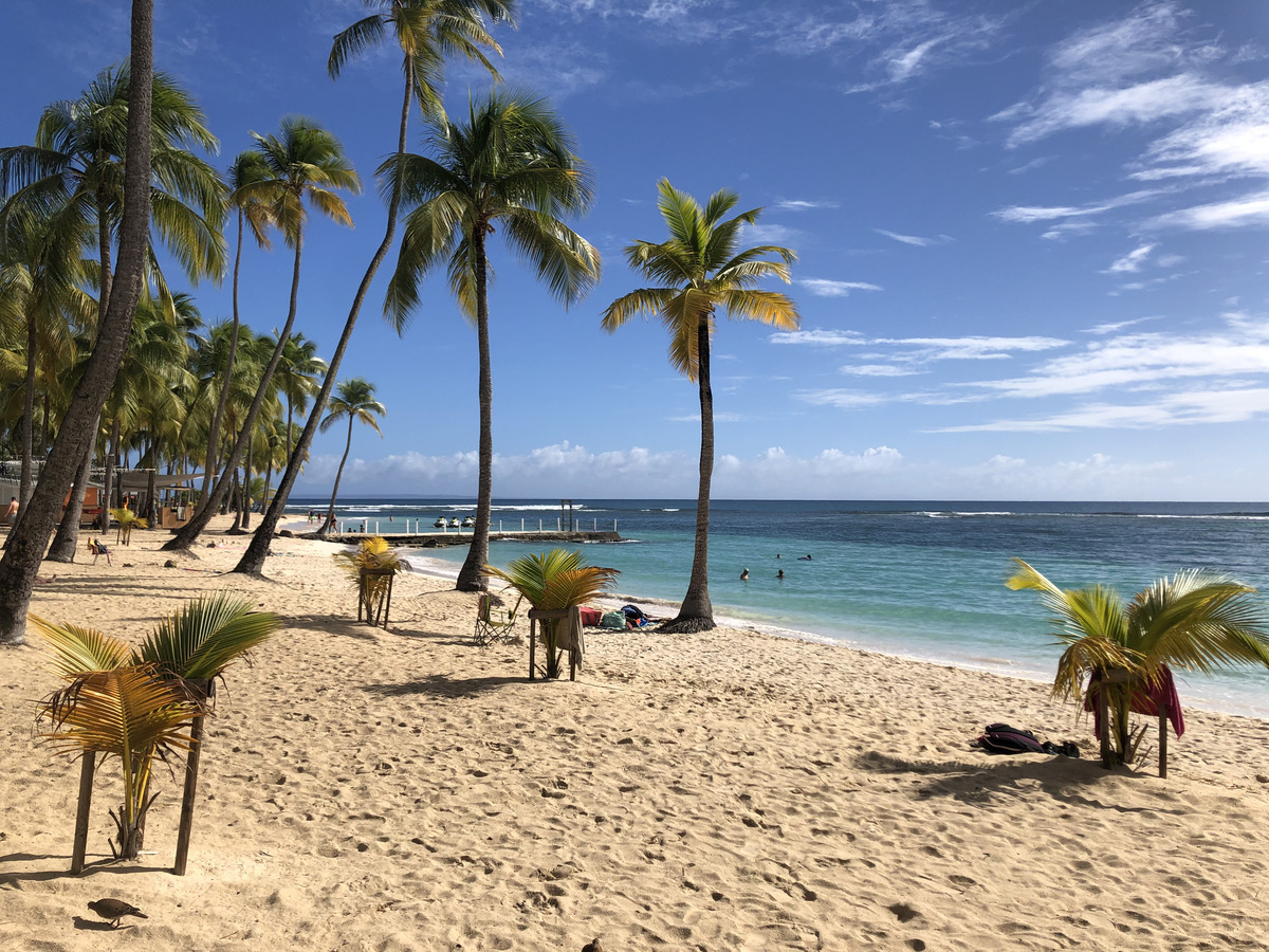 Picture Guadeloupe La Caravelle Beach 2021-02 16 - Monument La Caravelle Beach