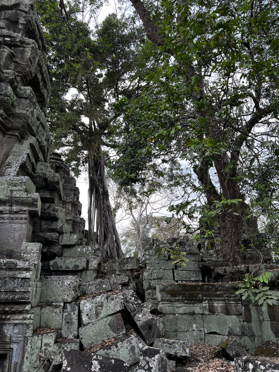 Picture Cambodia Siem Reap Ta Prohm 2023-01 6 - Lakes Ta Prohm