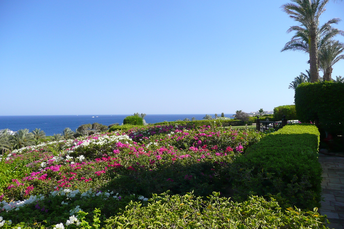 Picture Egypt Sharm el Sheikh Four Seasons Hotel 2008-06 13 - Restaurant Four Seasons Hotel