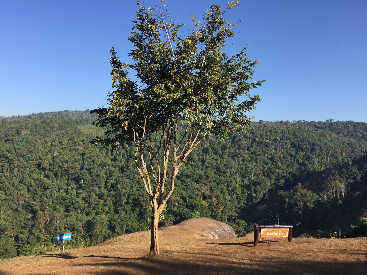 Picture Thailand Phu Hin Rong Kla National Park 2014-12 376 - Rooms Phu Hin Rong Kla National Park