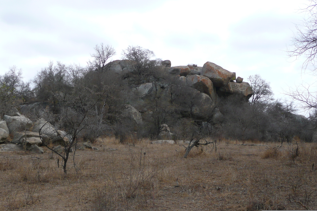 Picture South Africa Kruger National Park 2008-09 18 - Rain Season Kruger National Park