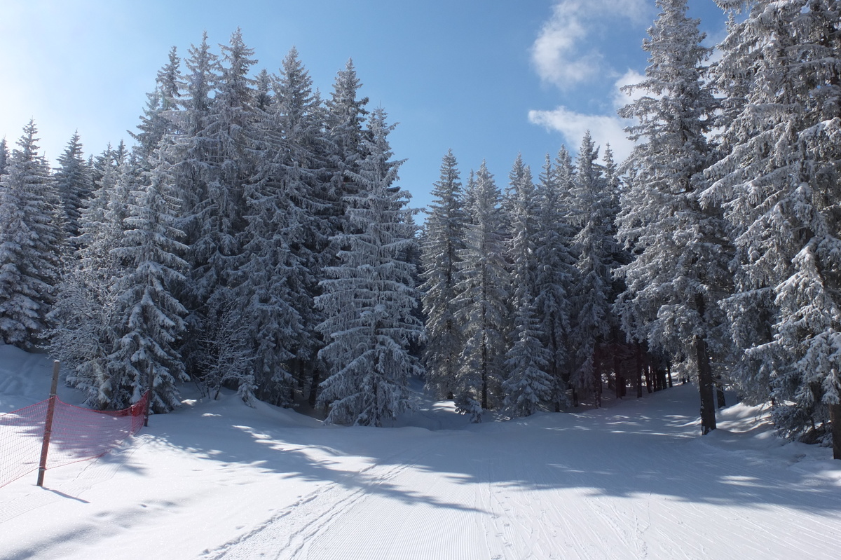 Picture France Les 3 Vallees 2013-03 98 - Restaurant Les 3 Vallees