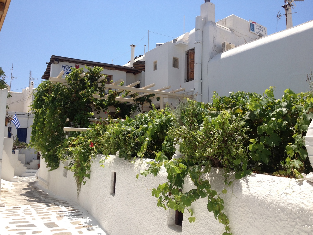 Picture Greece Mykonos 2014-07 294 - Street Mykonos