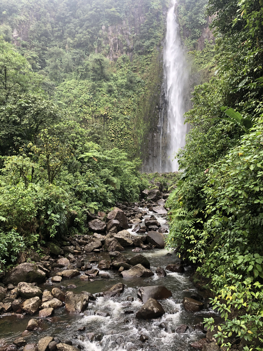 Picture Guadeloupe Carbet Falls 2021-02 39 - French Restaurant Carbet Falls