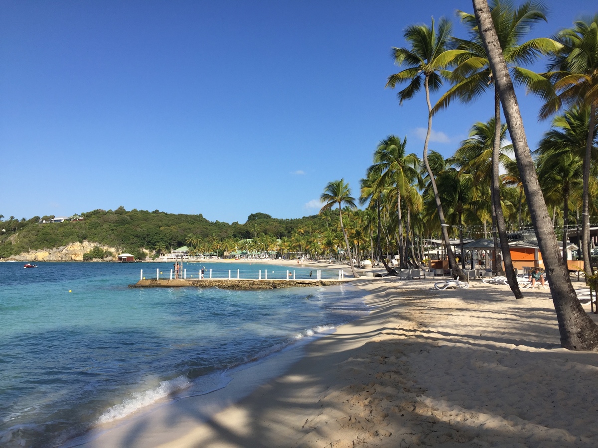 Picture Guadeloupe La Caravelle Beach 2021-02 61 - To see La Caravelle Beach