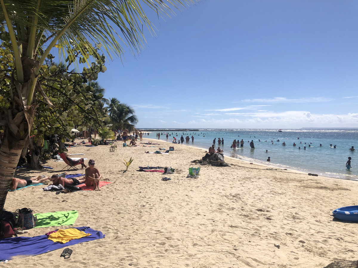 Picture Guadeloupe Sainte Anne 2021-02 93 - Hot Season Sainte Anne