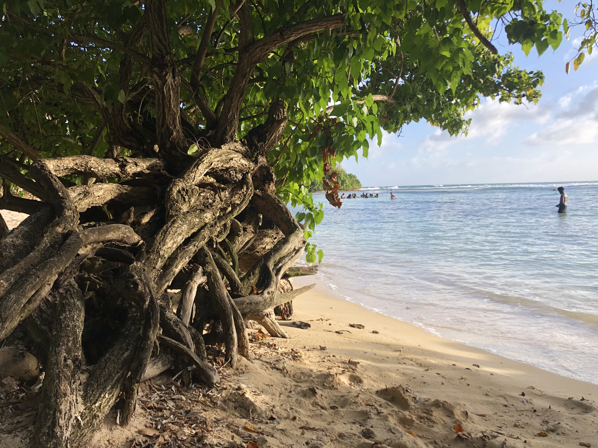 Picture Guadeloupe Petit Havre Beach 2021-02 17 - Transport Petit Havre Beach