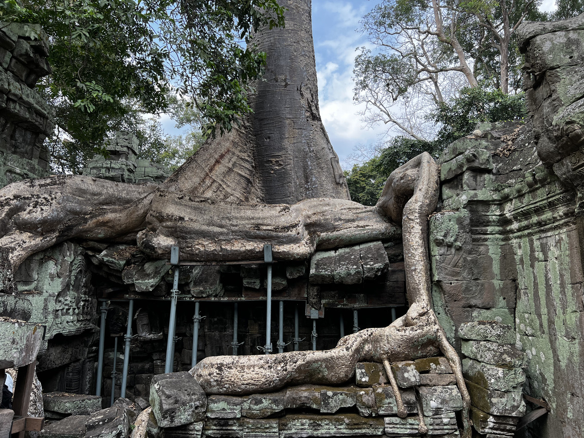 Picture Cambodia Siem Reap Ta Prohm 2023-01 33 - Monuments Ta Prohm