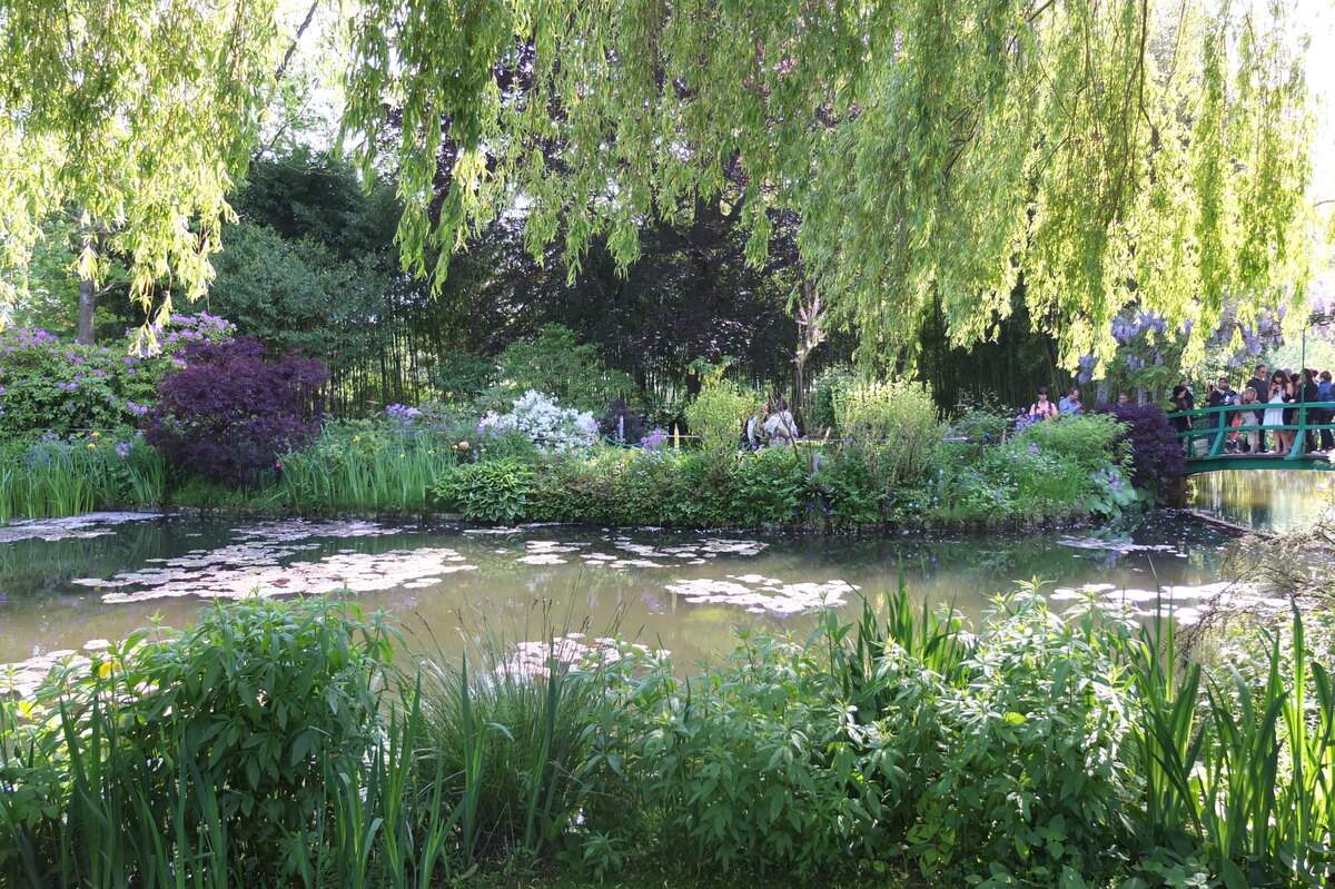 Picture France Giverny 2013-06 24 - Lake Giverny