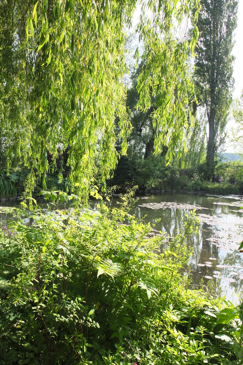 Picture France Giverny 2013-06 41 - City Sight Giverny