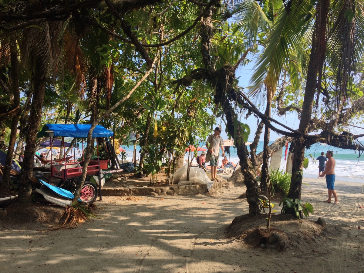 Picture Costa Rica Manuel Antonio 2015-03 209 - Resorts Manuel Antonio