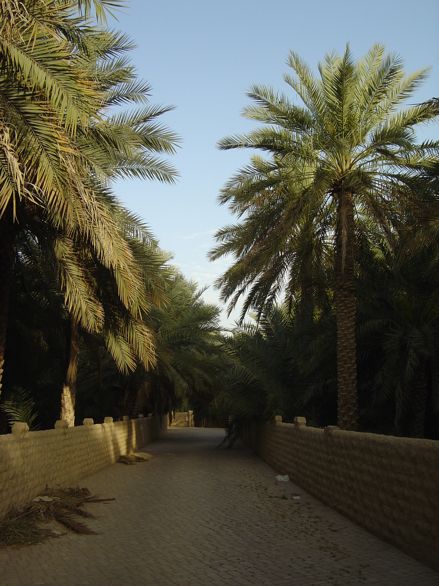 Picture United Arab Emirates Al Ain Al Ain Oasis 2005-03 4 - Night Al Ain Oasis