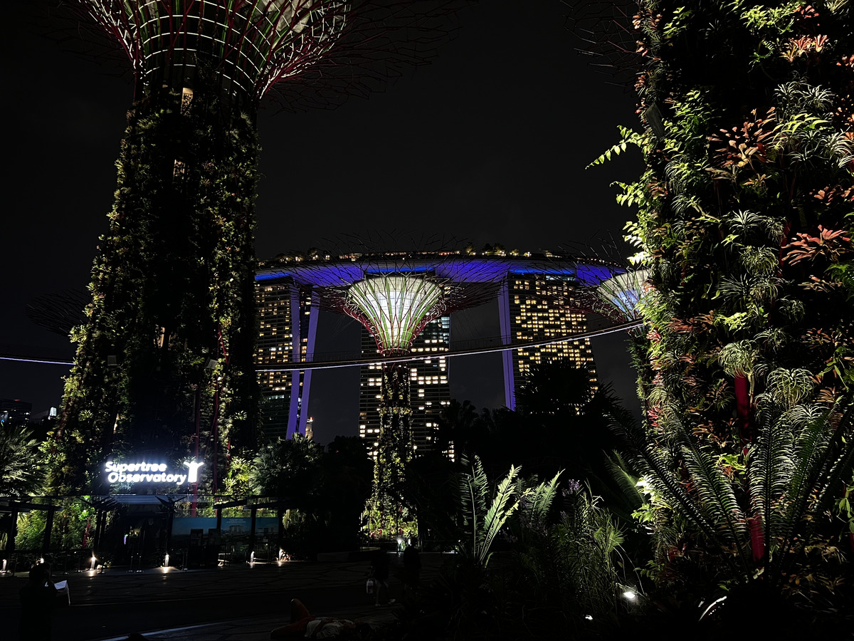 Picture Singapore Garden by the bay 2023-01 42 - Walking Street Garden by the bay