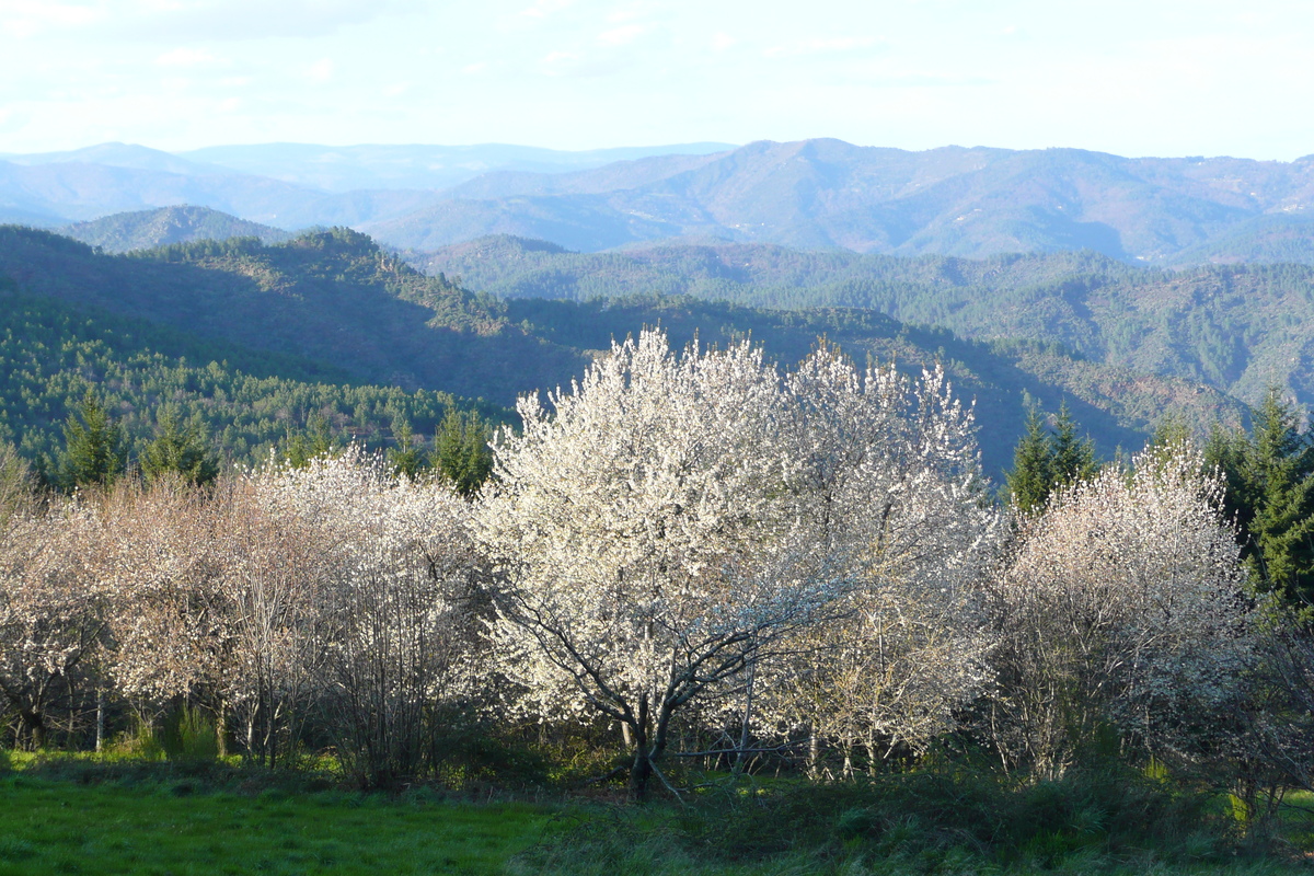 Picture France Cevennes Mountains 2008-04 31 - SPA Cevennes Mountains