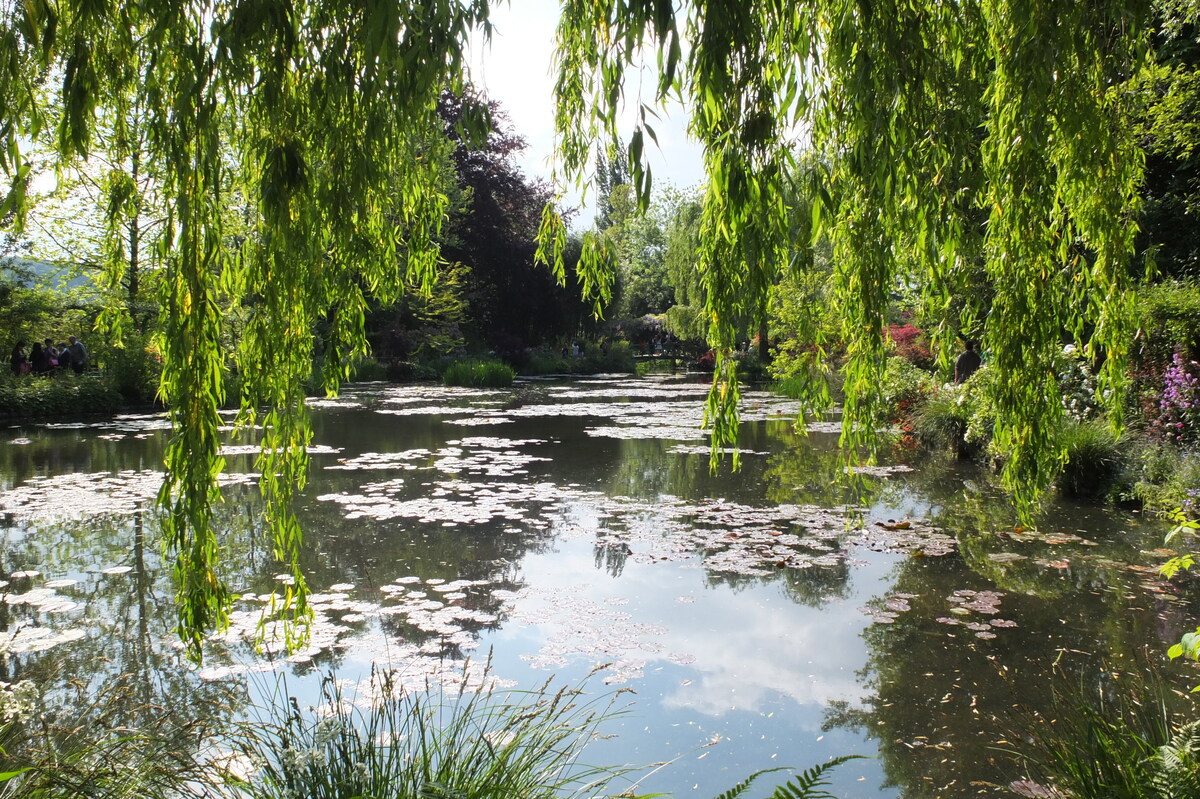 Picture France Giverny 2013-06 83 - Lakes Giverny