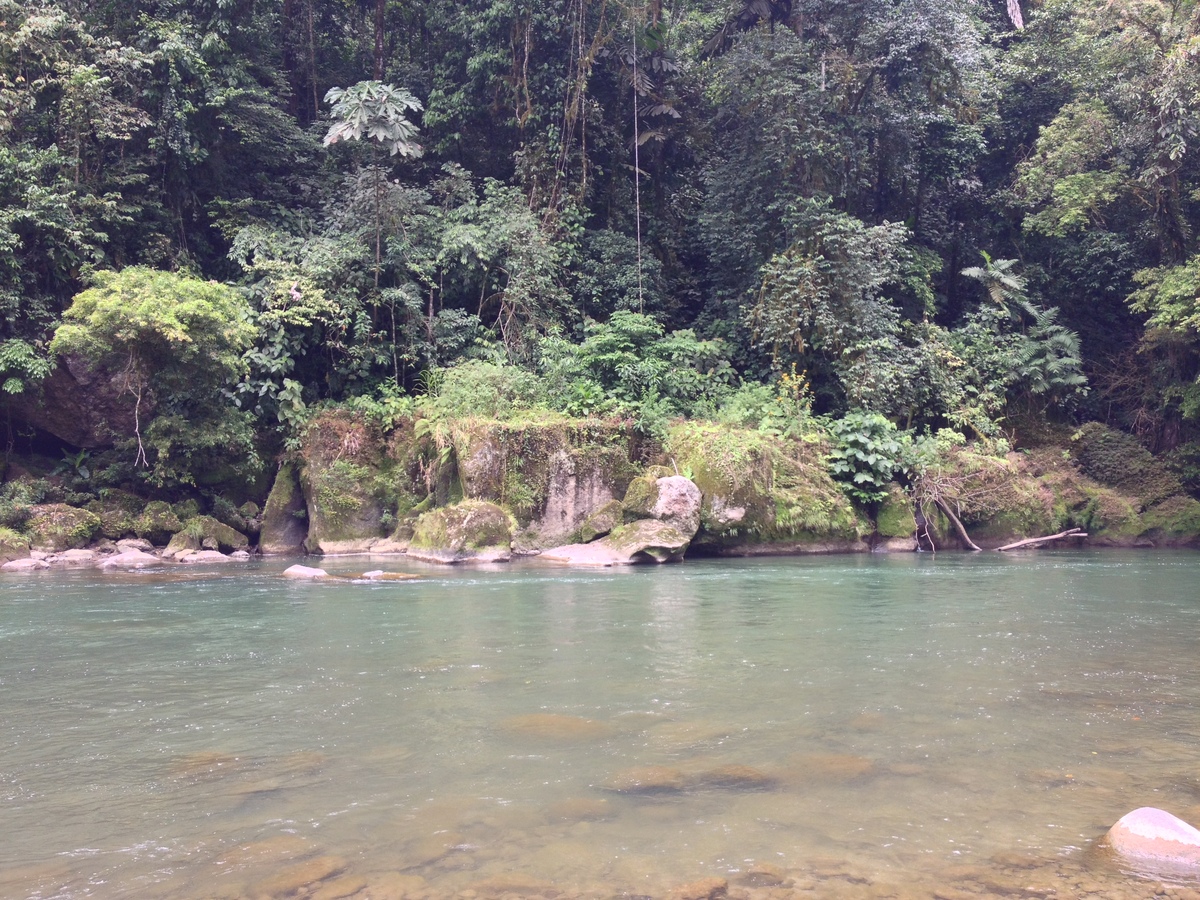 Picture Costa Rica Pacuare River 2015-03 4 - Hotel Pacuare River