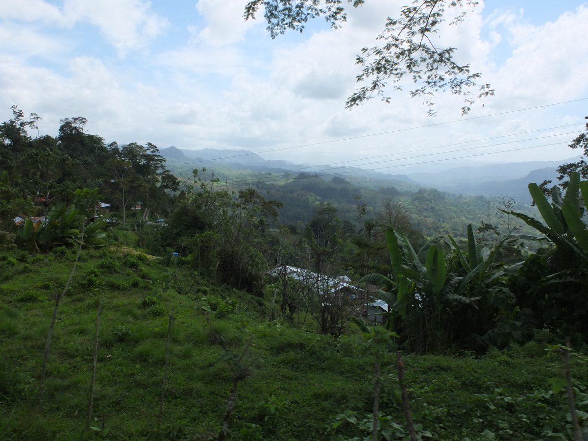 Picture Costa Rica Turrialba 2015-03 81 - Rain Season Turrialba