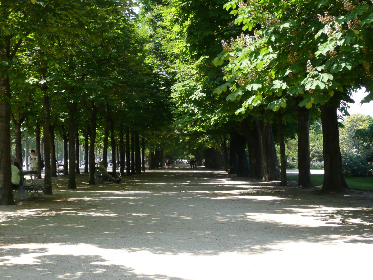 Picture France Paris Champs Elysees 2007-05 3 - Street Champs Elysees