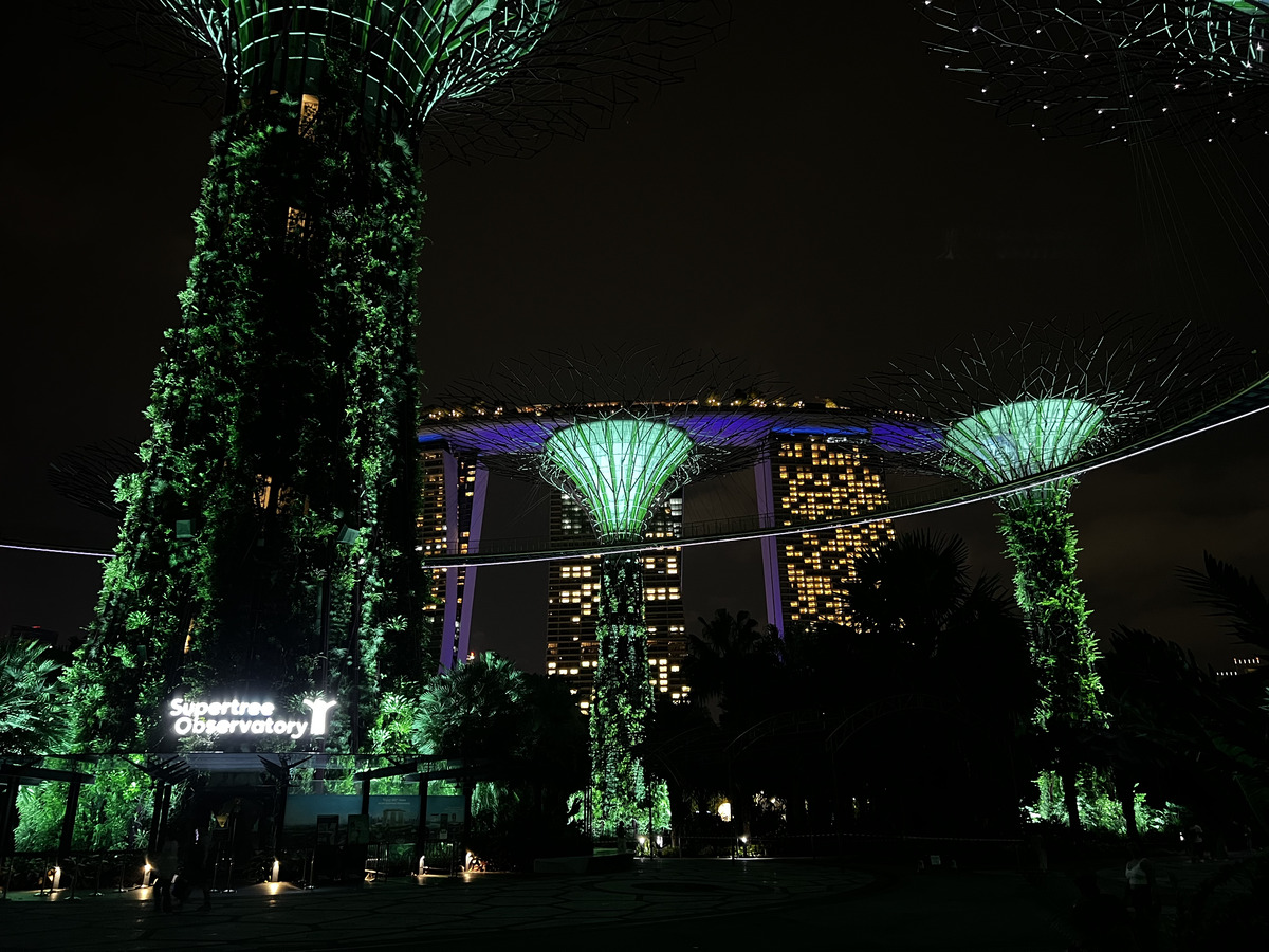 Picture Singapore Garden by the bay 2023-01 10 - Lake Garden by the bay