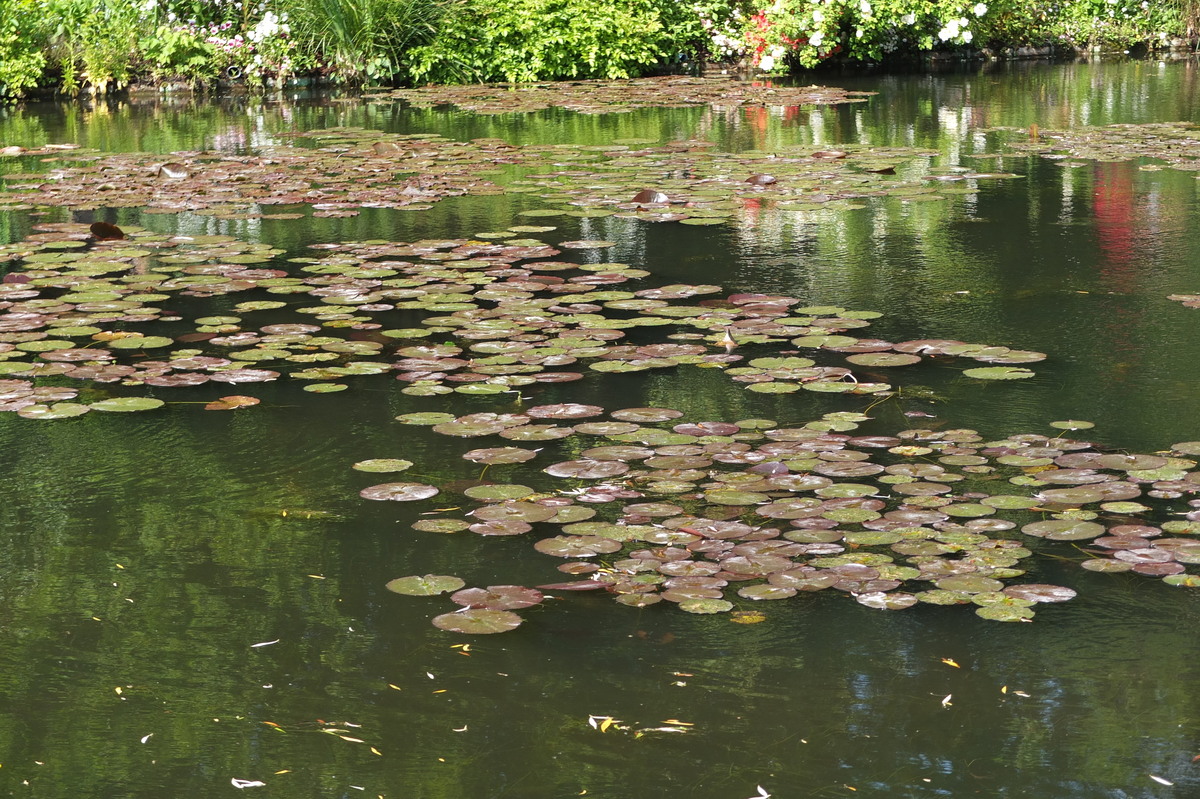 Picture France Giverny 2013-06 81 - Hotel Pools Giverny