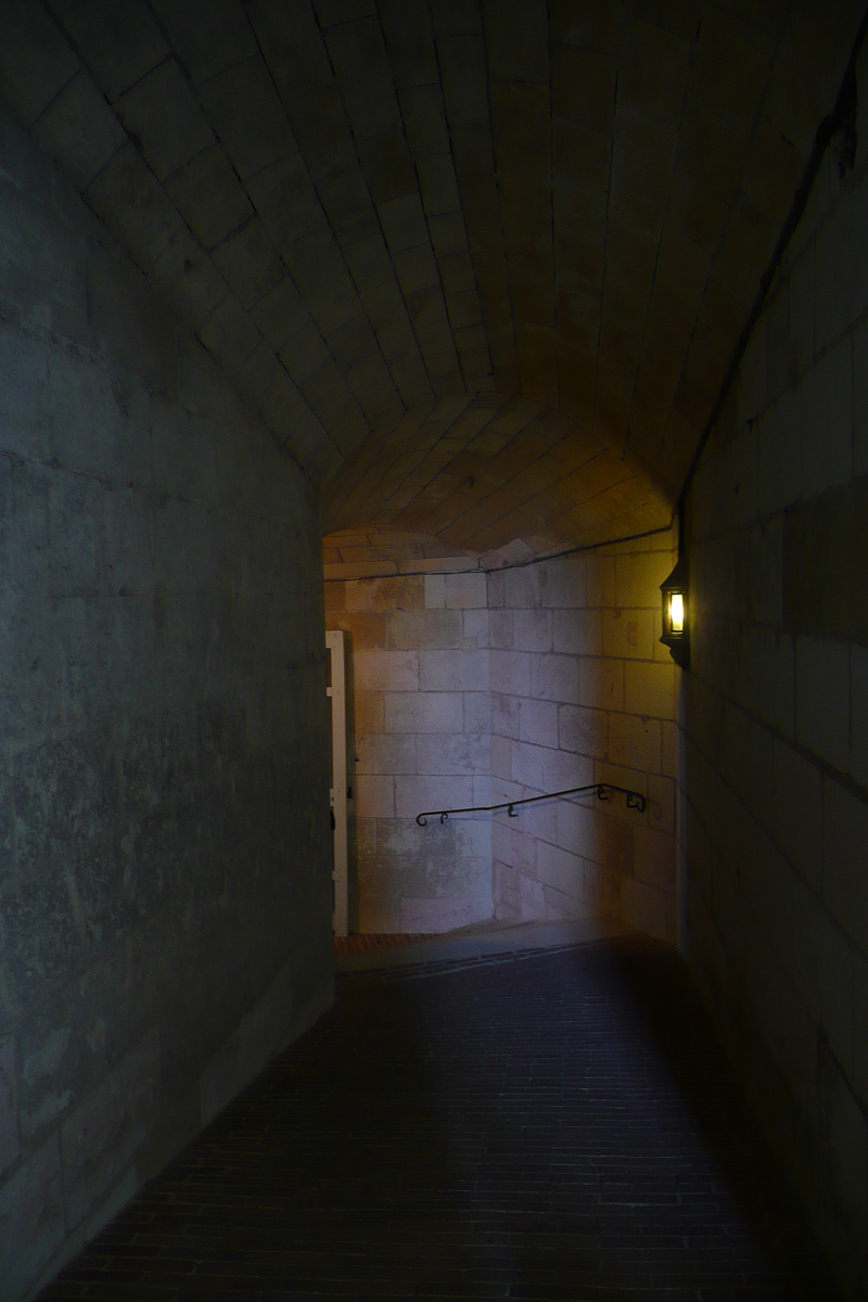 Picture France Amboise Amboise Castle 2008-04 35 - Winter Amboise Castle