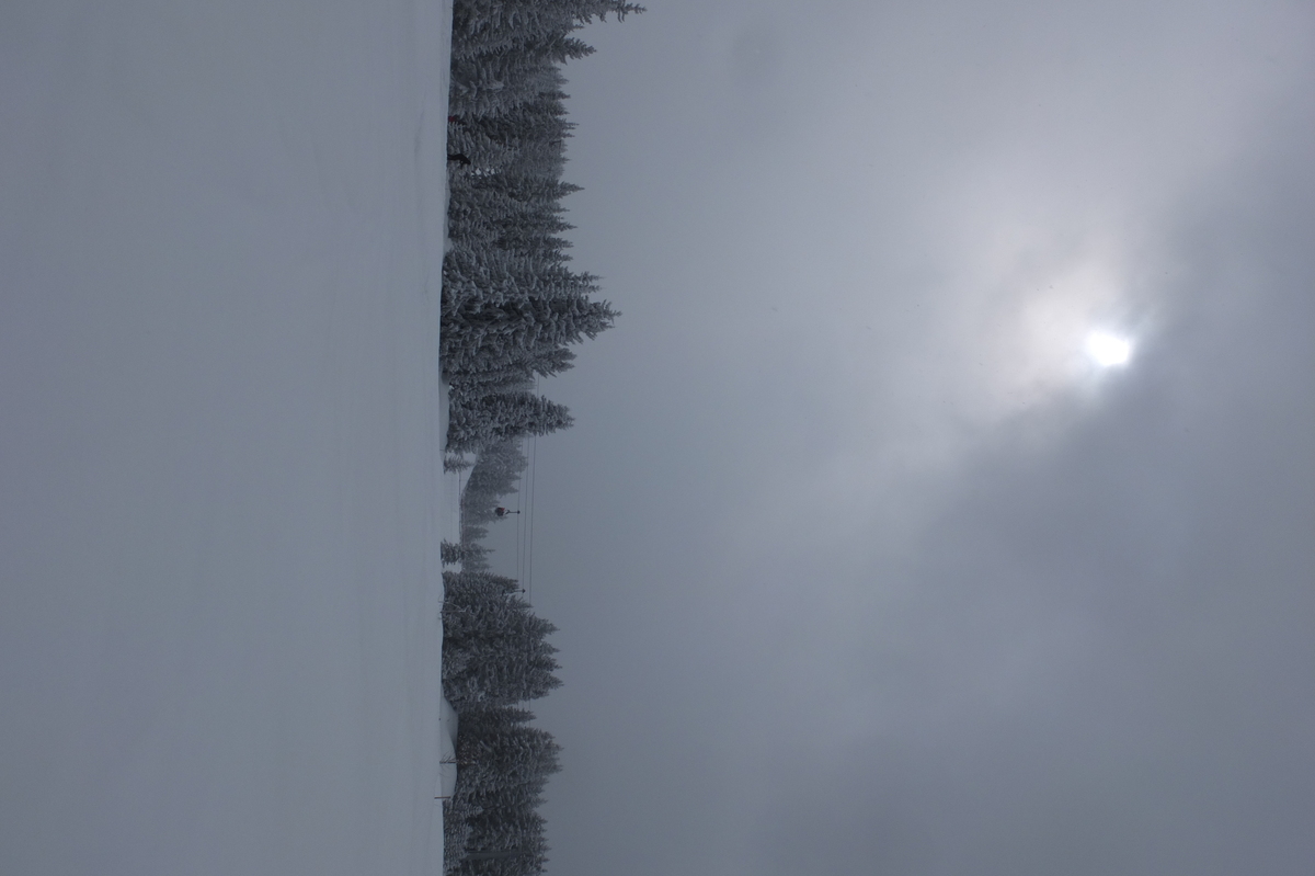 Picture France Les 3 Vallees 2013-03 131 - Rain Season Les 3 Vallees