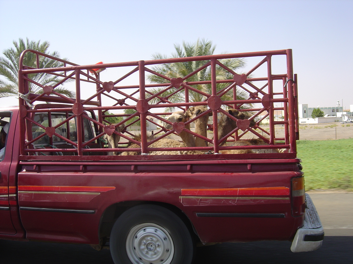 Picture United Arab Emirates Al Ain to Abu Dhabi Road 2005-09 0 - Monument Al Ain to Abu Dhabi Road