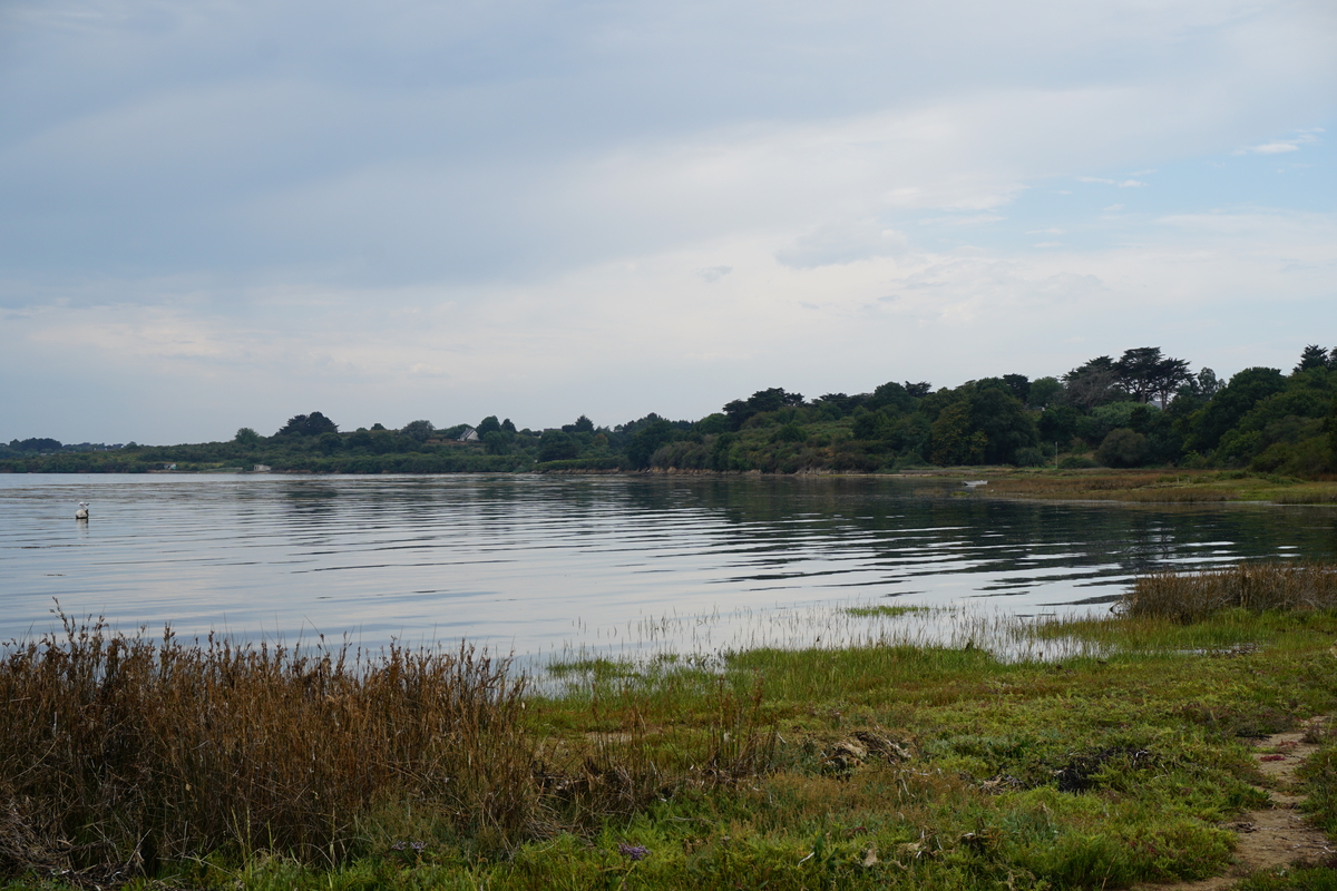 Picture France Ile-aux-Moines 2016-08 5 - Sauna Ile-aux-Moines