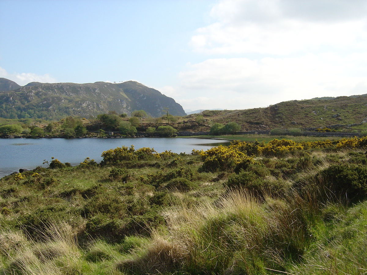 Picture Ireland Kerry Caragh Lake 2004-05 23 - City Sight Caragh Lake