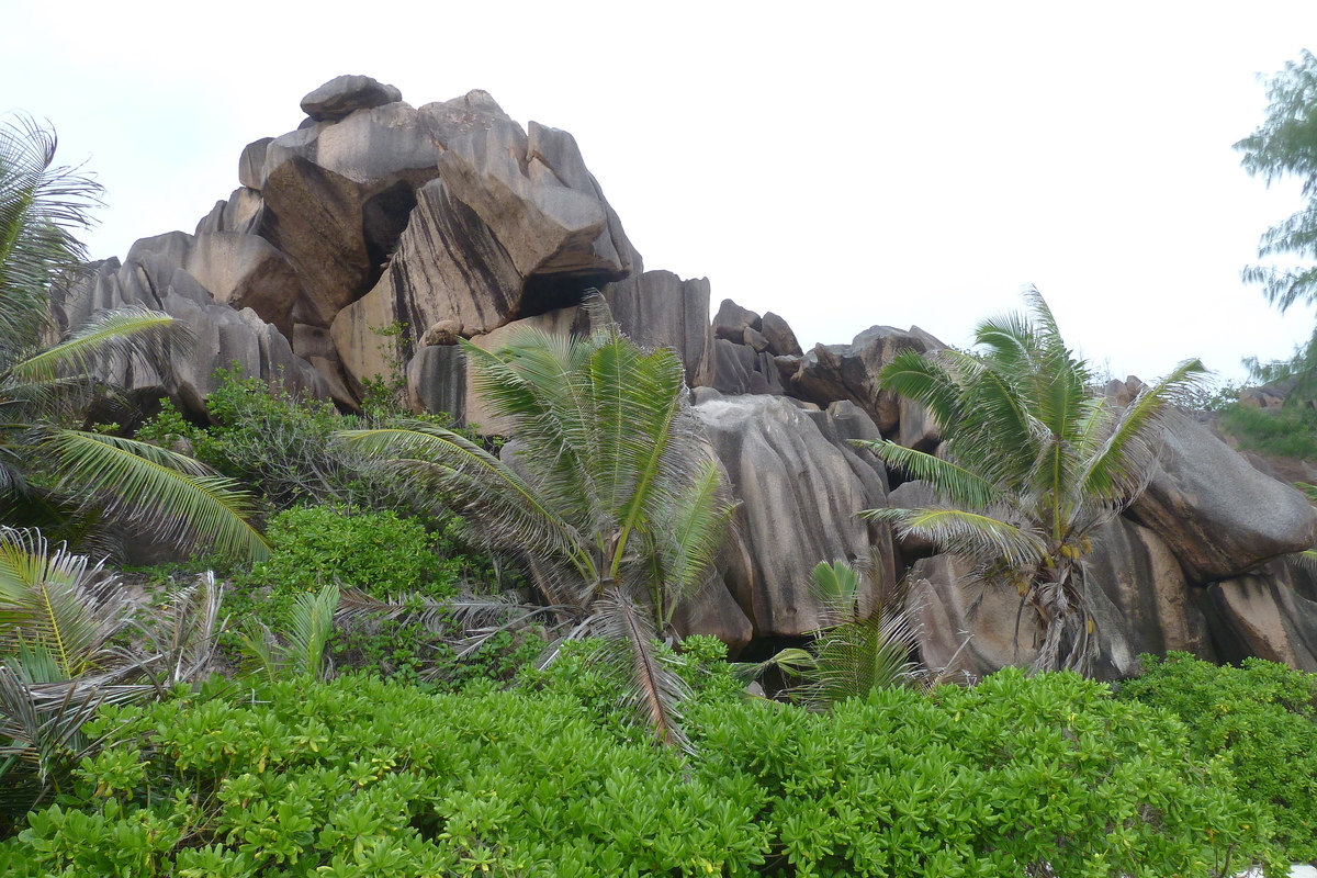 Picture Seychelles La Digue 2011-10 187 - Rental La Digue