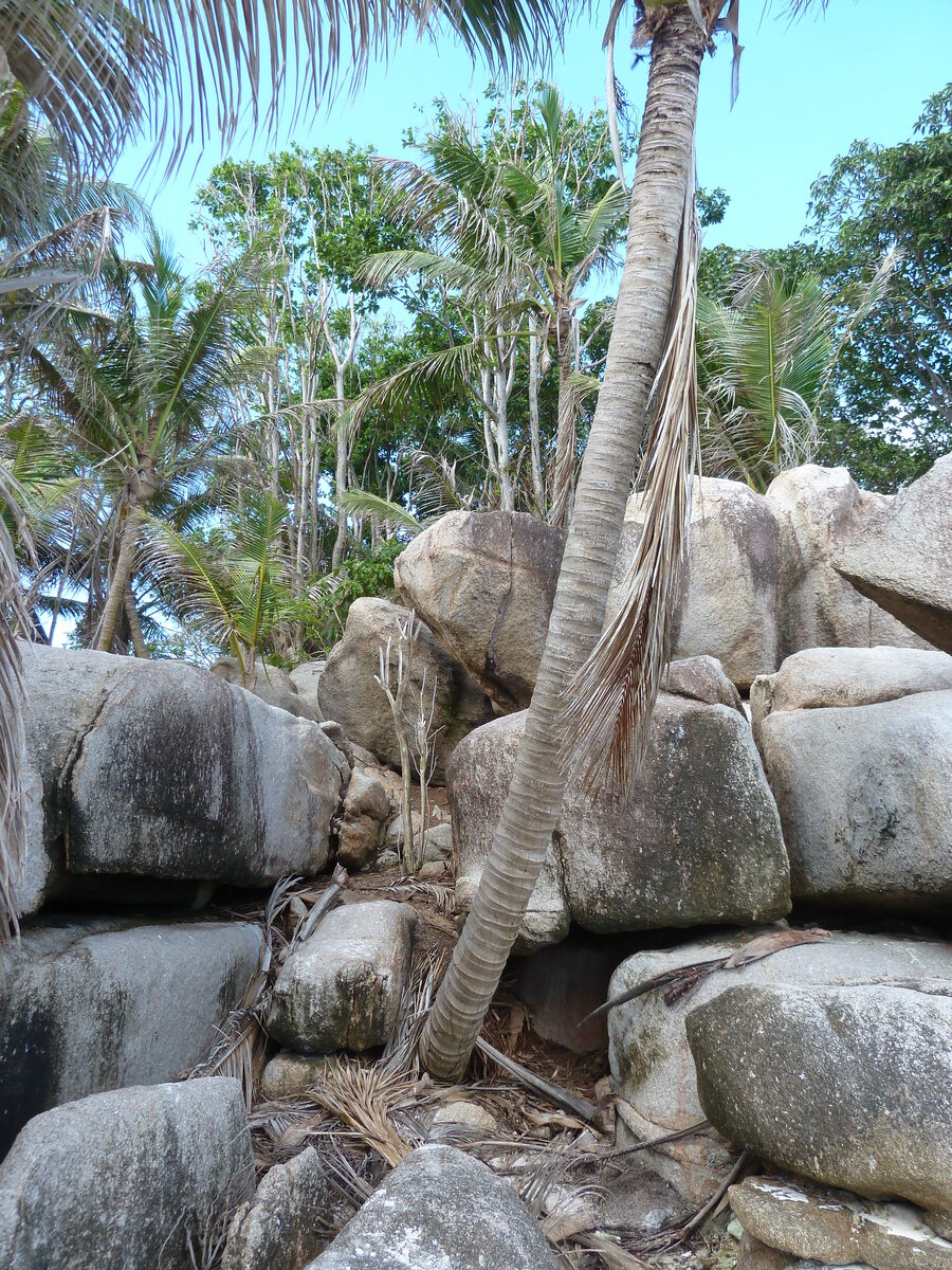 Picture Seychelles Coco Island 2011-10 6 - Waterfall Coco Island