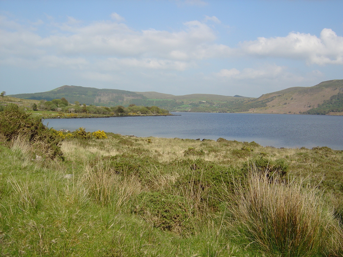 Picture Ireland Kerry Caragh Lake 2004-05 34 - Sauna Caragh Lake