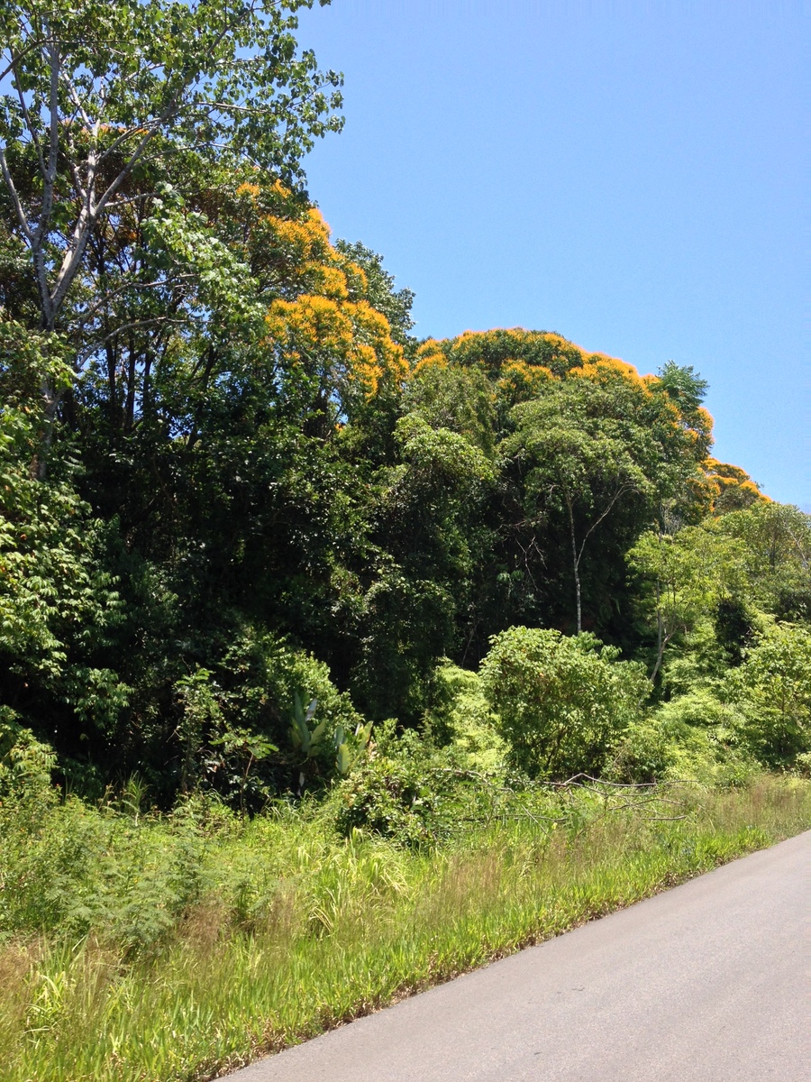 Picture Costa Rica Pacific Border 2015-03 4 - Weather Pacific Border