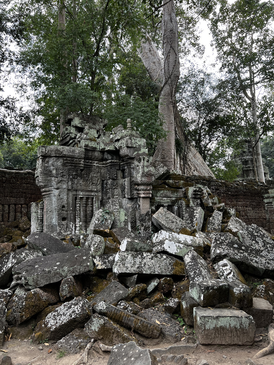 Picture Cambodia Siem Reap Ta Prohm 2023-01 81 - Transport Ta Prohm